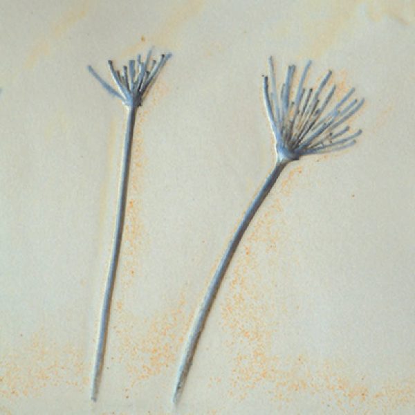 Muck-N-Muffins-Dunfanaghy-The-Cow-Parsley-Design